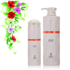 OEM Plump And Healthy Elasticity Shampoo And Conditioner Private Label Mild Formula