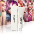 Customized Lead Free 100ml/Pc Permanent Hair Color Cream