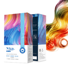 Private Label No Ammonia Factory Price Professional Semi Permanent Hair Color Cream Salon Use